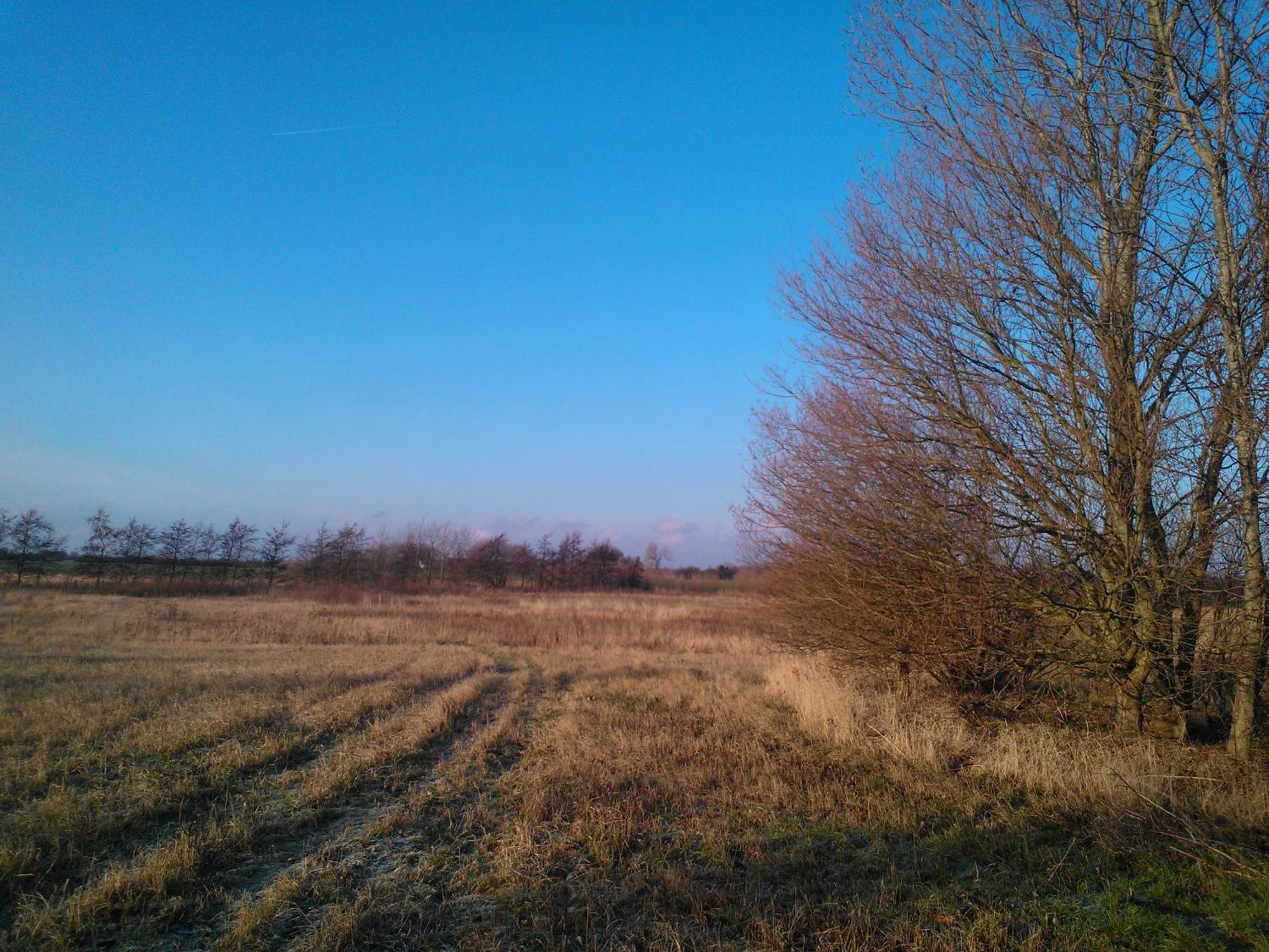 Holmehuset Bed & Breakfast Kalundborg Εξωτερικό φωτογραφία